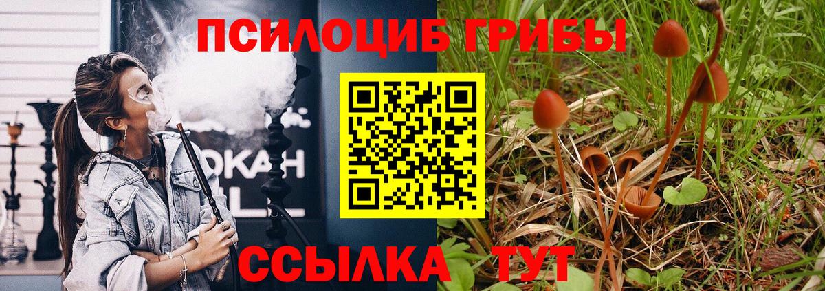 Коркино  Псилоцибиновые грибы Psilocybe  Псилоцибиновые грибы Cubensis  Вход с VPN 