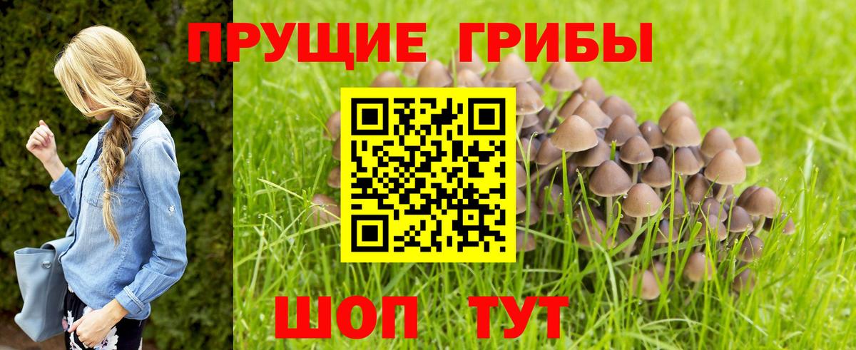 Галлюциногенные грибы прущие грибы Коркино